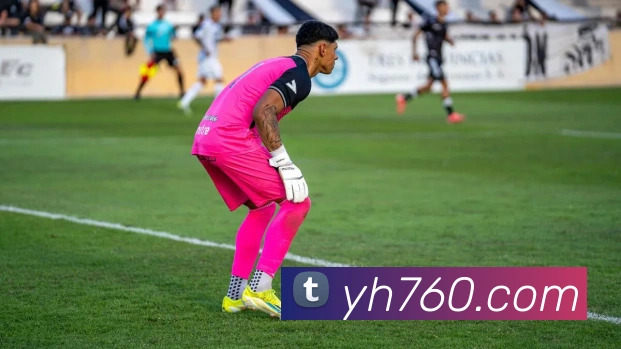 互动解说服务